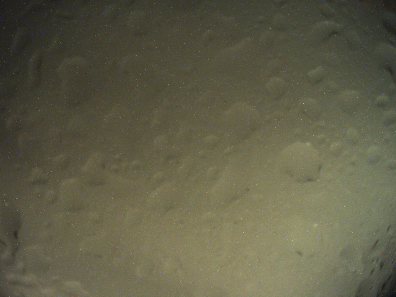 Tirschenreuther Nachbarschaft