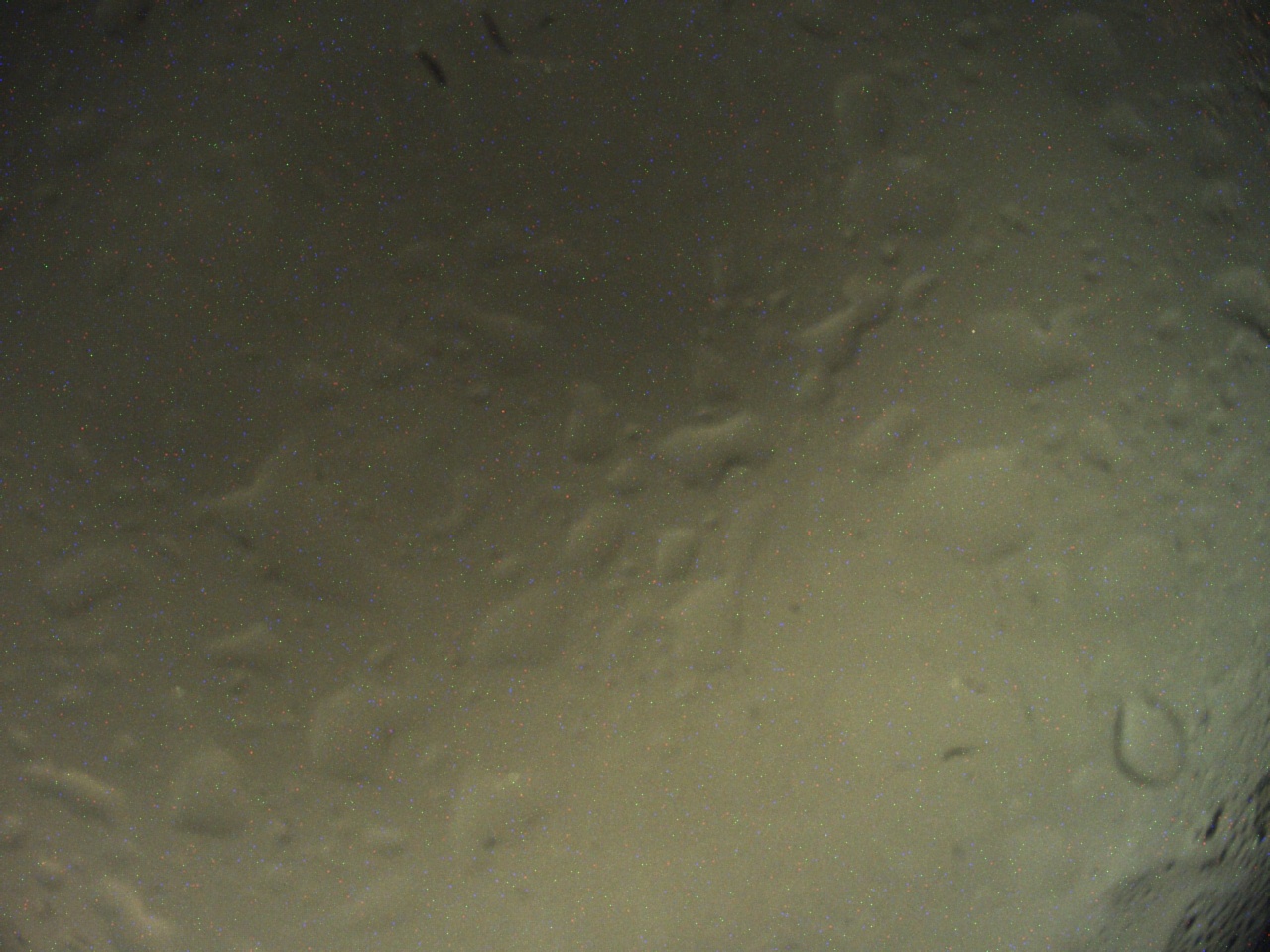 Tirschenreuther Nachbarschaft