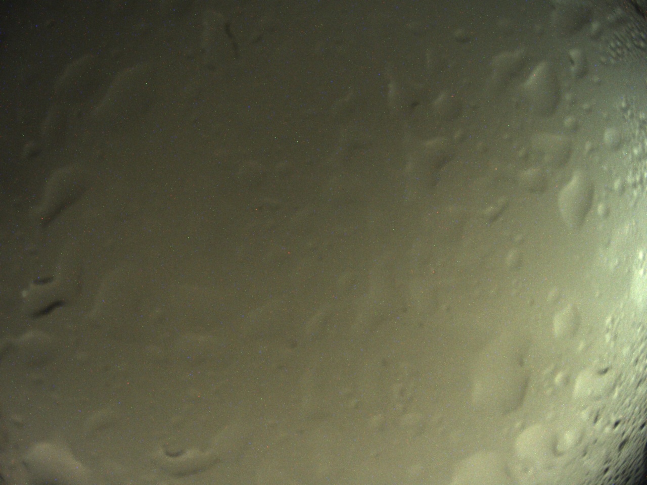 Tirschenreuther Nachbarschaft