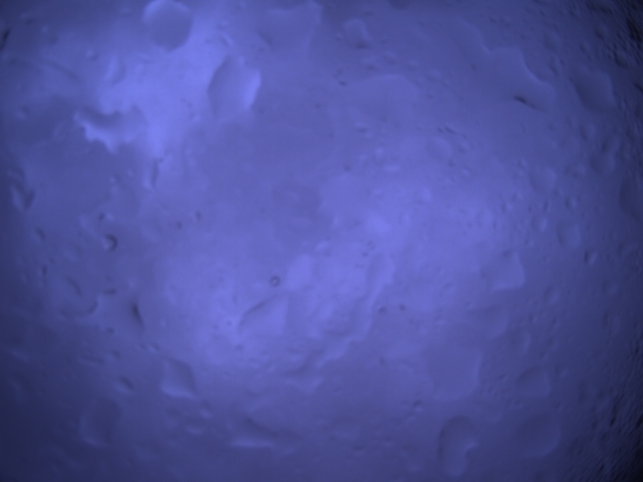 Tirschenreuther Nachbarschaft