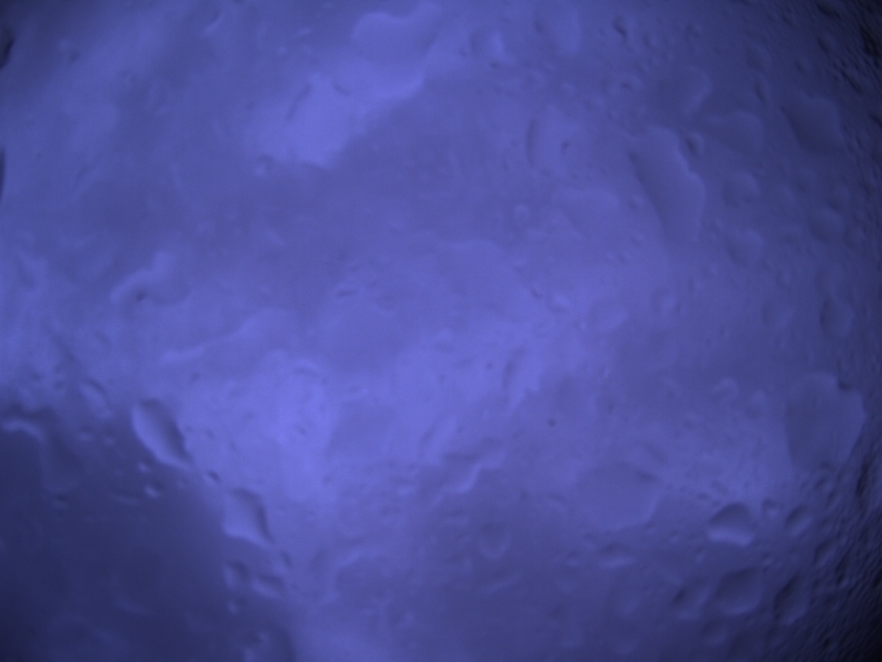 Tirschenreuther Nachbarschaft