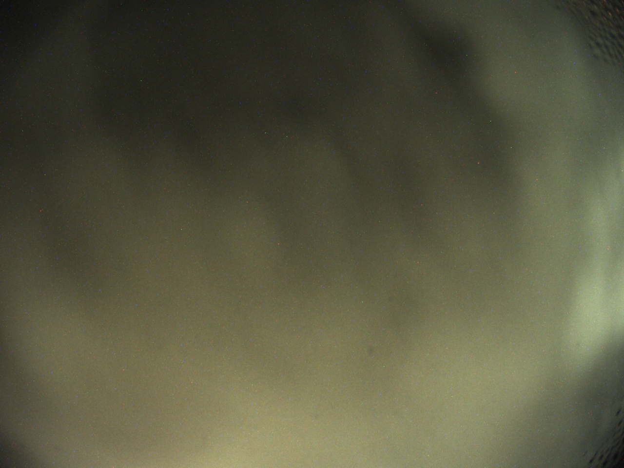 Tirschenreuther Nachbarschaft