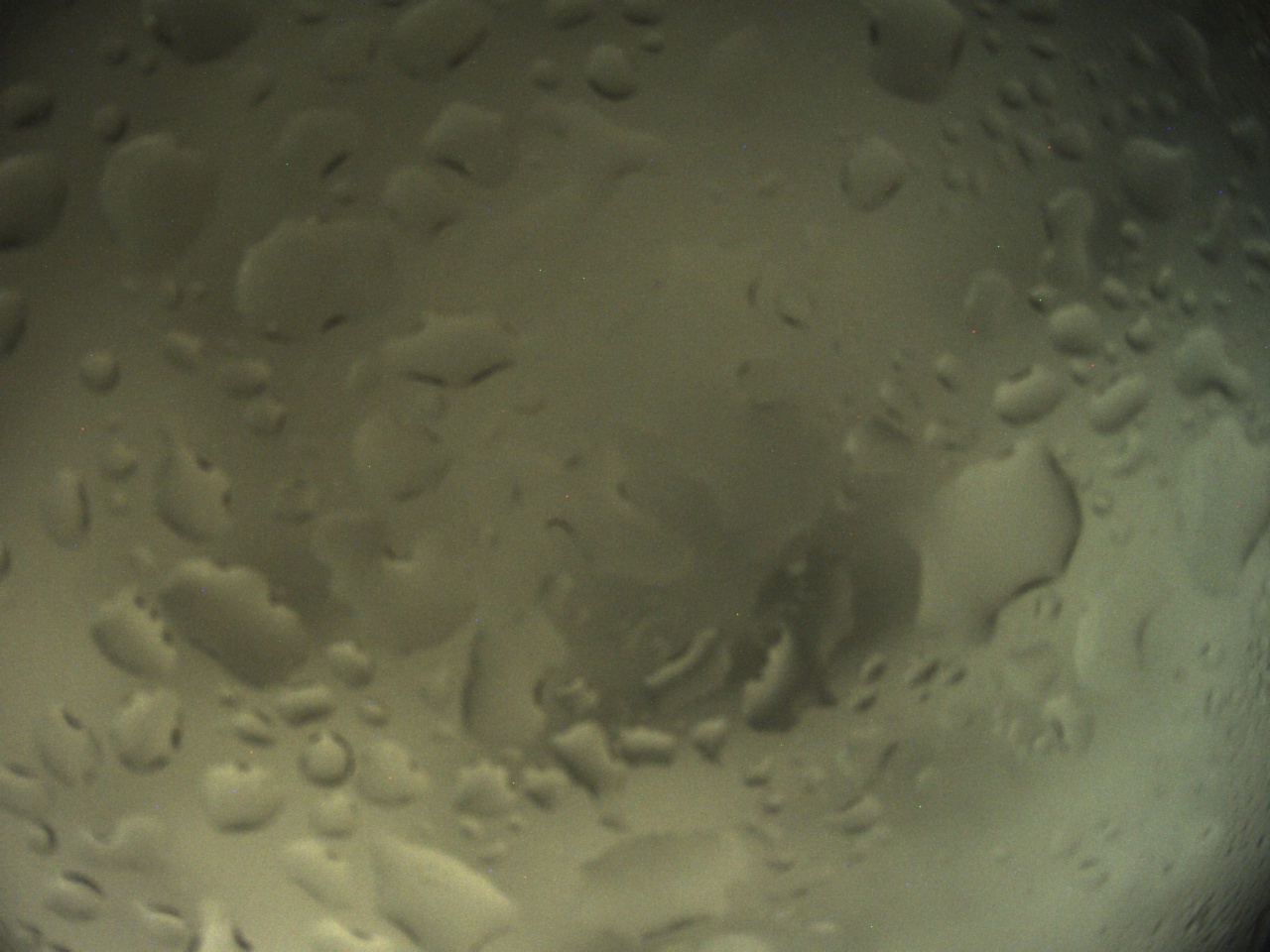 Tirschenreuther Nachbarschaft