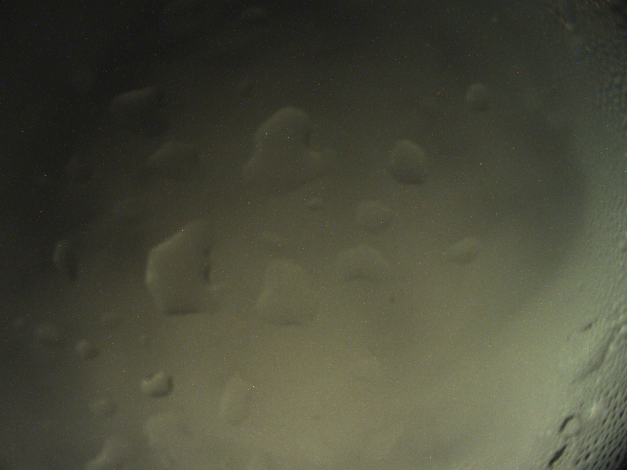 Tirschenreuther Nachbarschaft