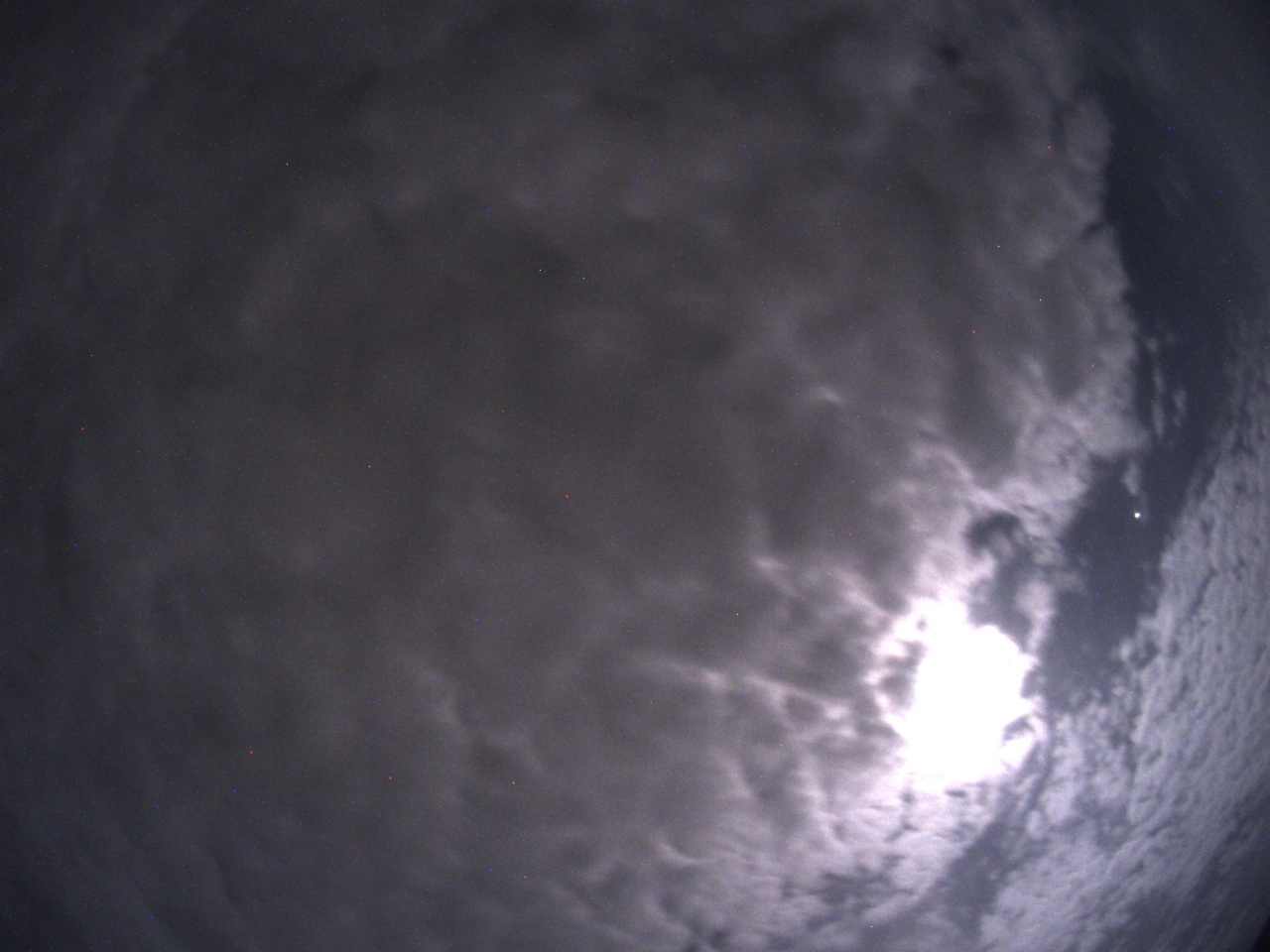 Tirschenreuther Nachbarschaft