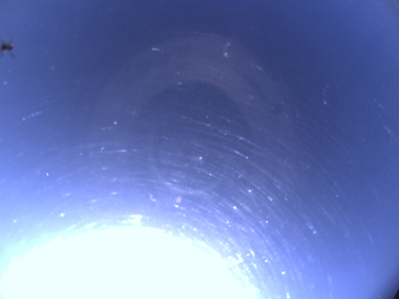 Tirschenreuther Nachbarschaft