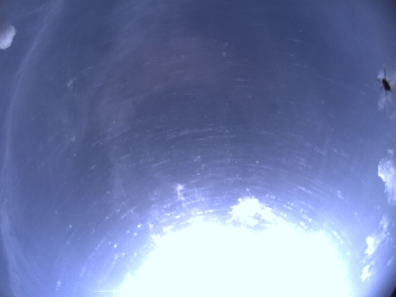 Tirschenreuther Nachbarschaft