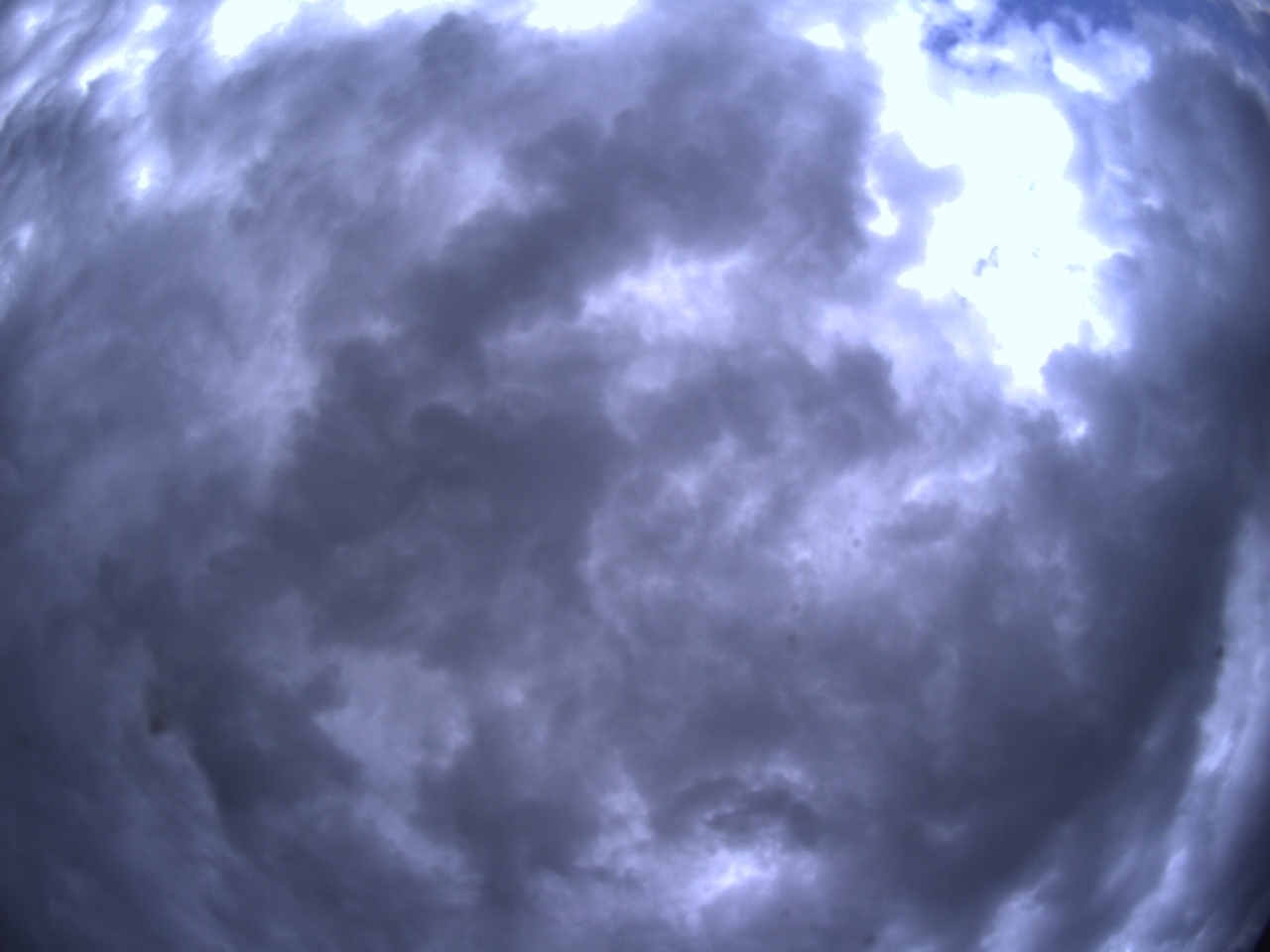 overview.alt.preview