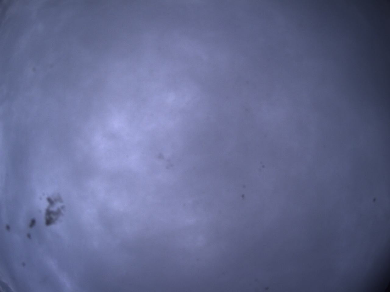 Tirschenreuther Nachbarschaft