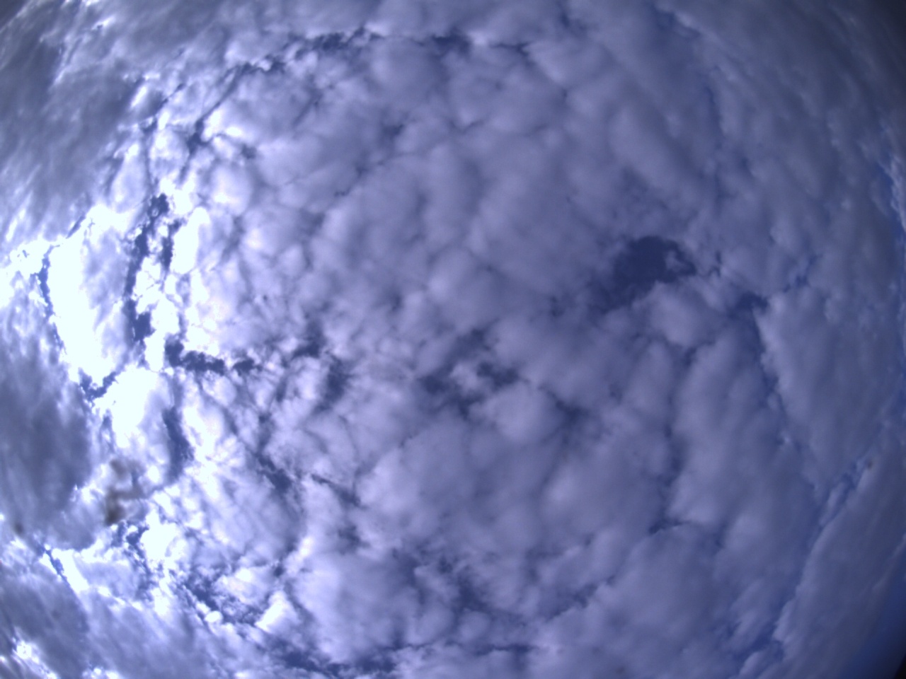 Tirschenreuther Nachbarschaft