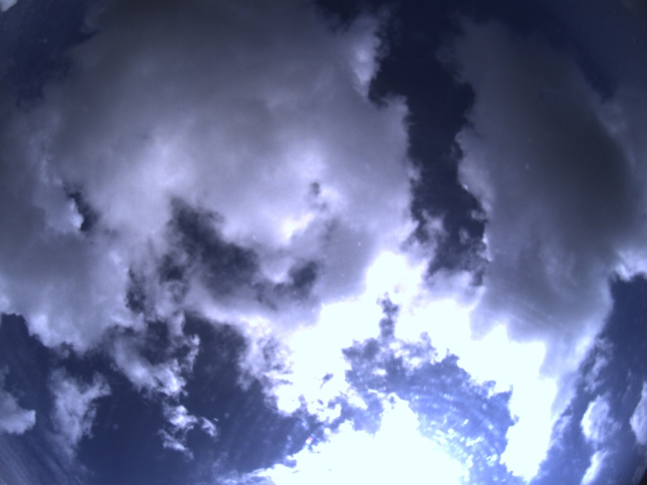 Tirschenreuther Nachbarschaft