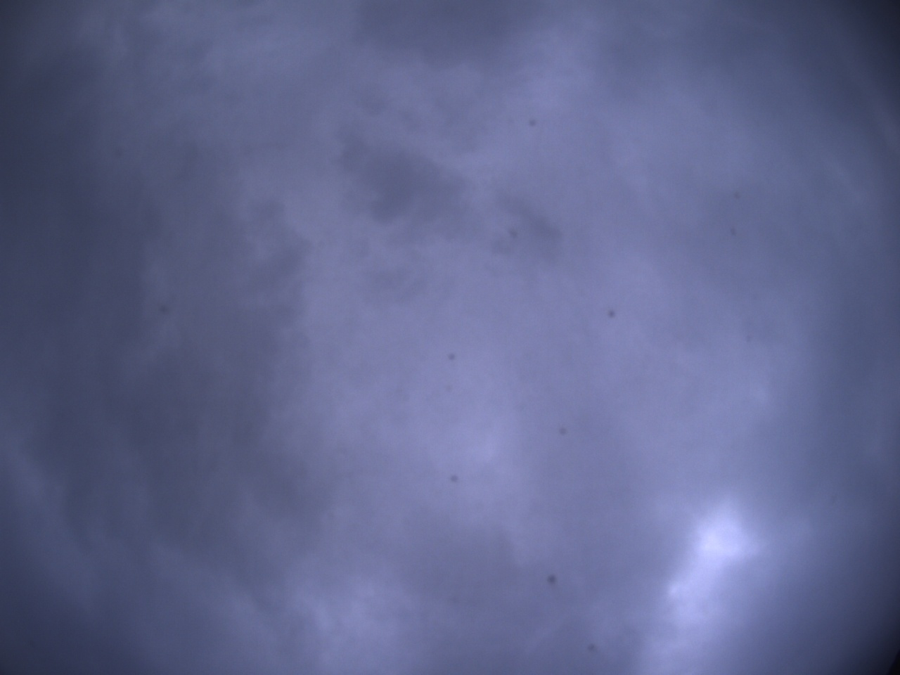 Tirschenreuther Nachbarschaft