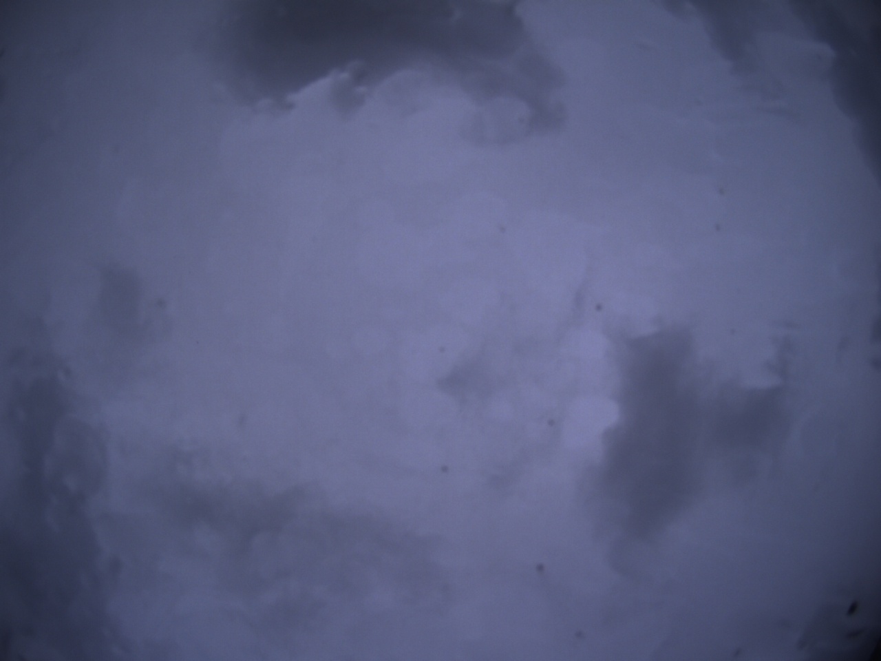 Tirschenreuther Nachbarschaft