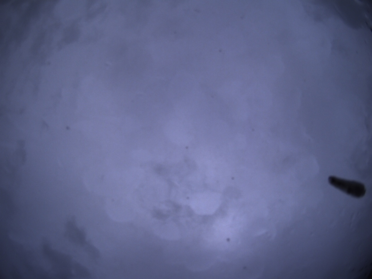 Tirschenreuther Nachbarschaft