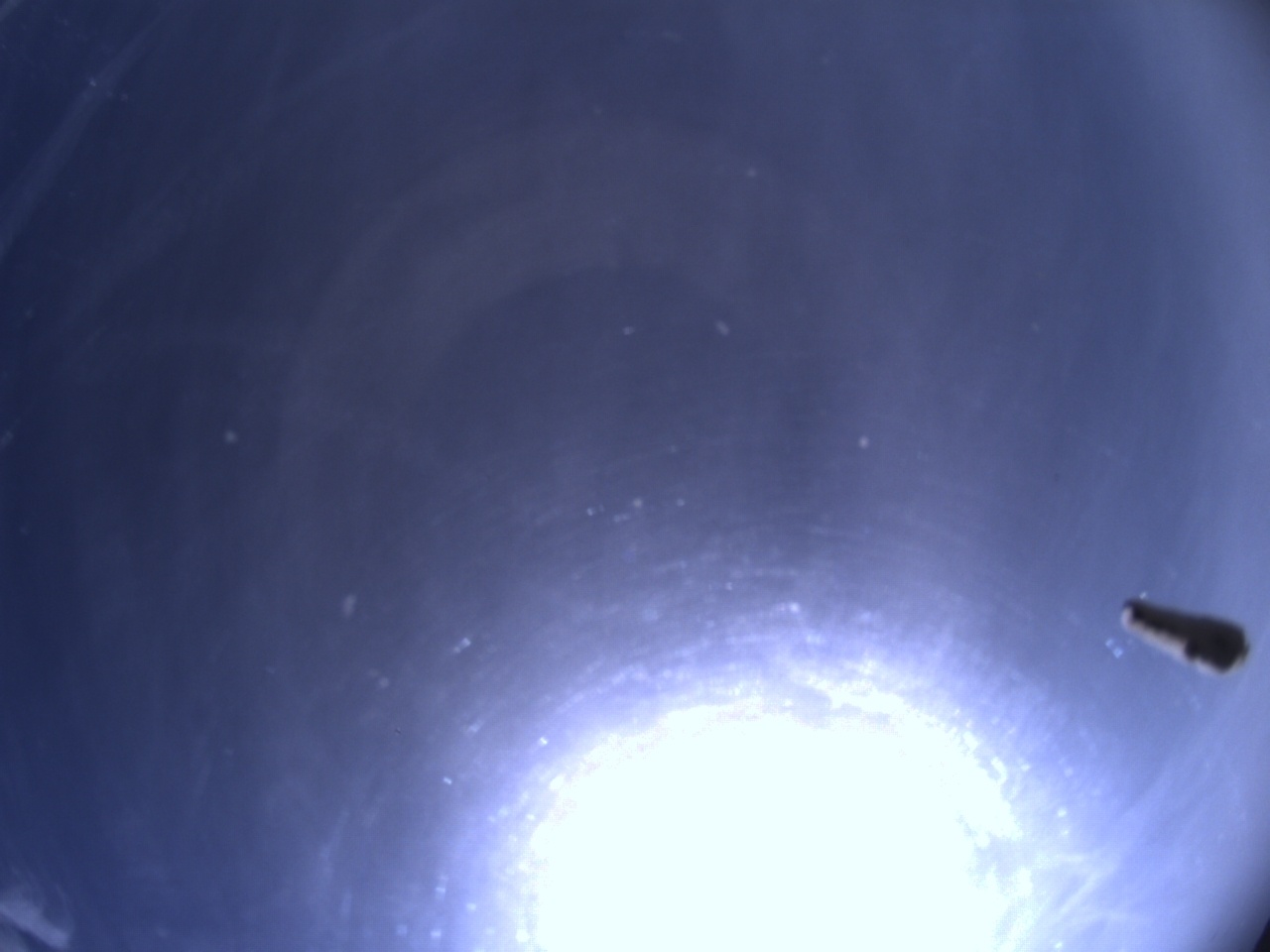 Tirschenreuther Nachbarschaft