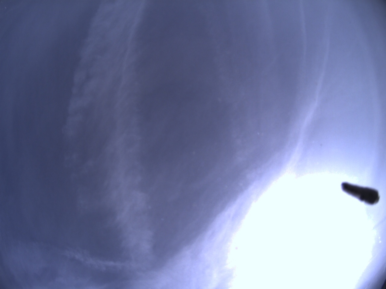 Tirschenreuther Nachbarschaft