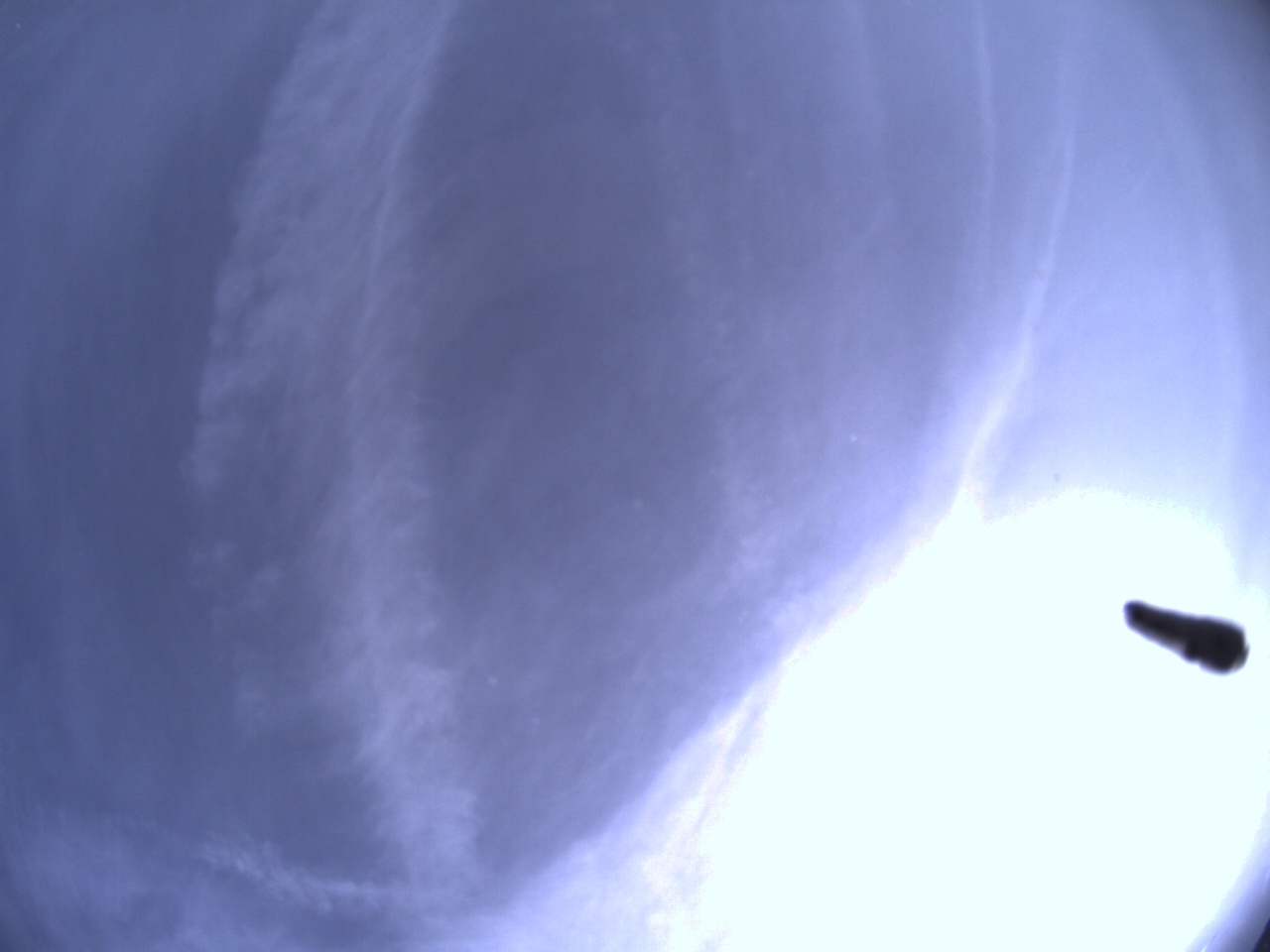 Tirschenreuther Nachbarschaft