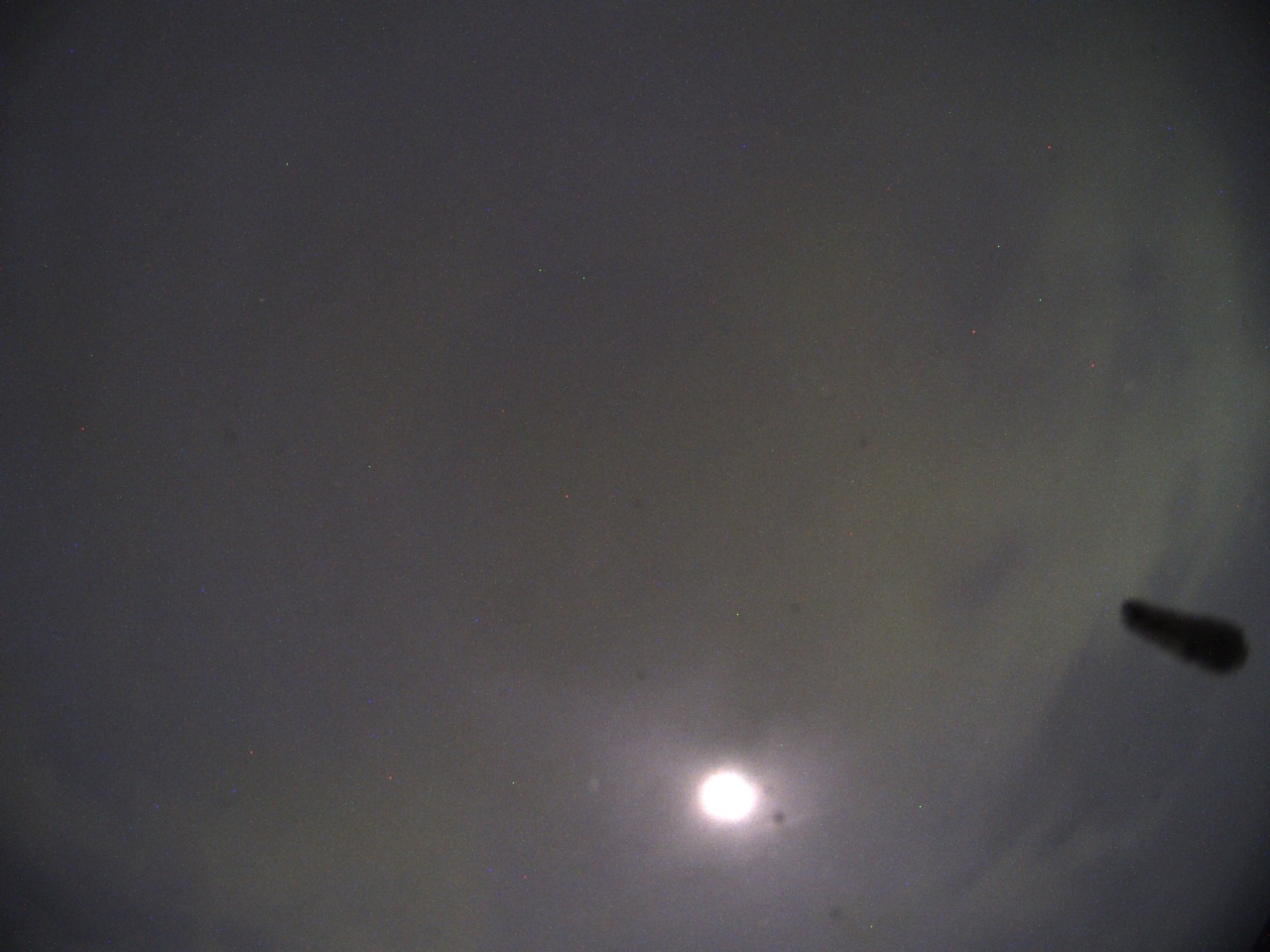 Tirschenreuther Nachbarschaft