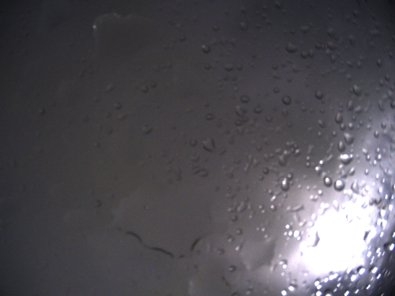 Tirschenreuther Nachbarschaft