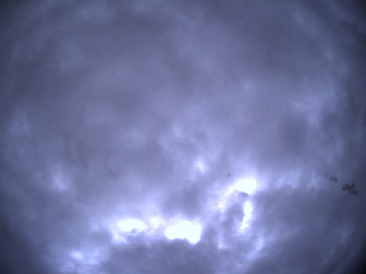 Tirschenreuther Nachbarschaft