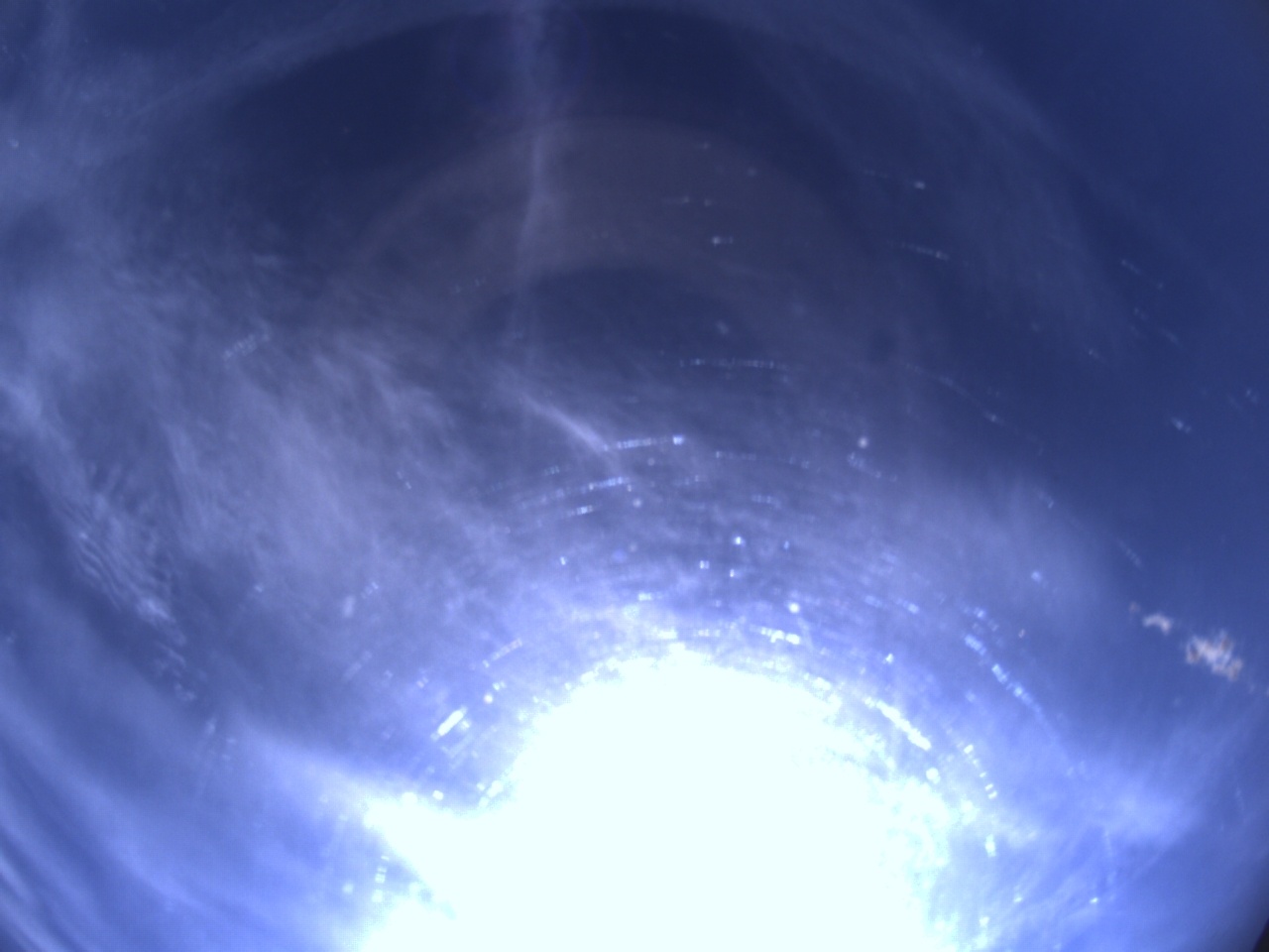 Tirschenreuther Nachbarschaft