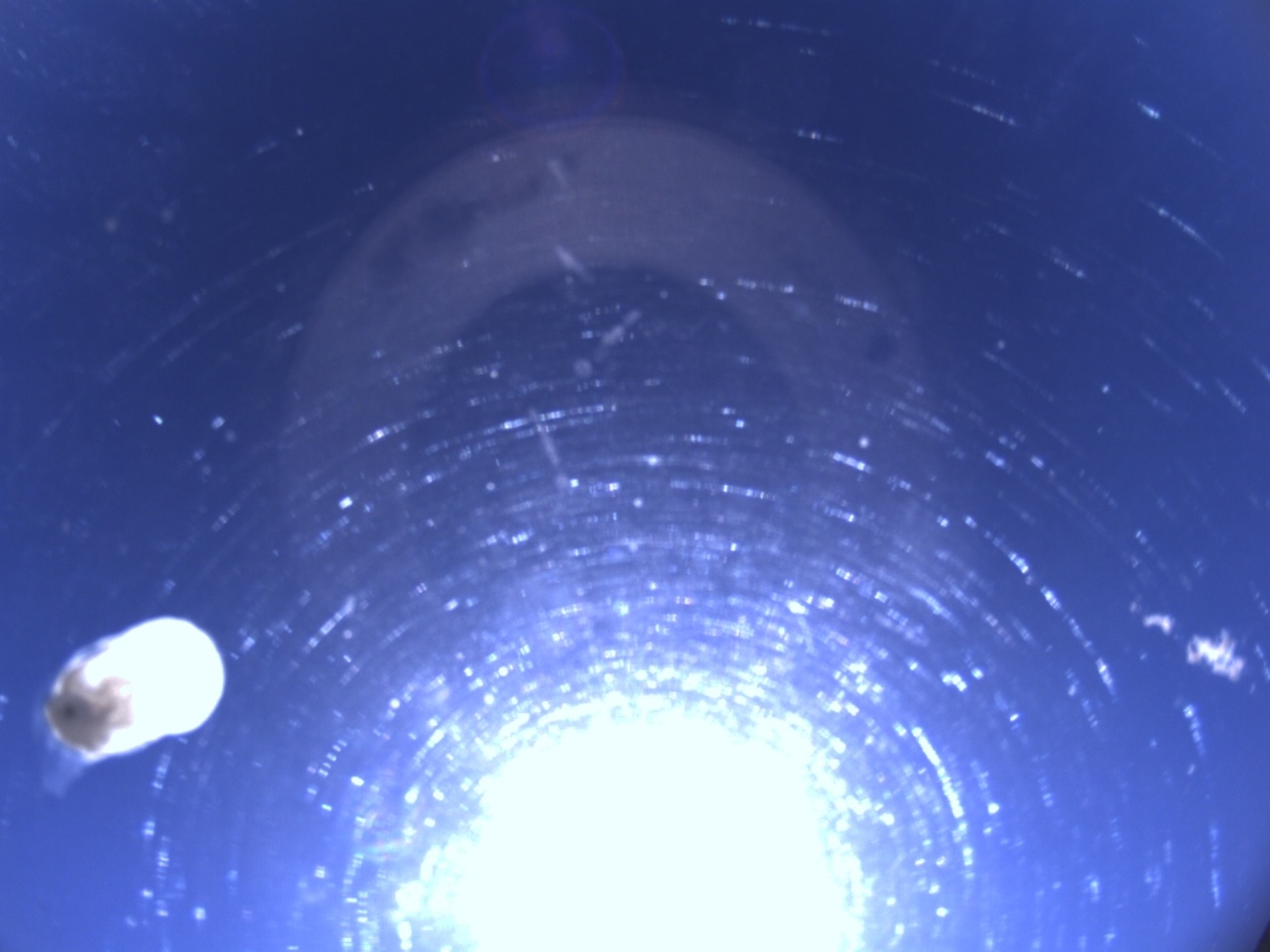 Tirschenreuther Nachbarschaft