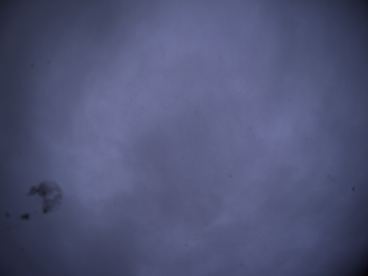 Tirschenreuther Nachbarschaft