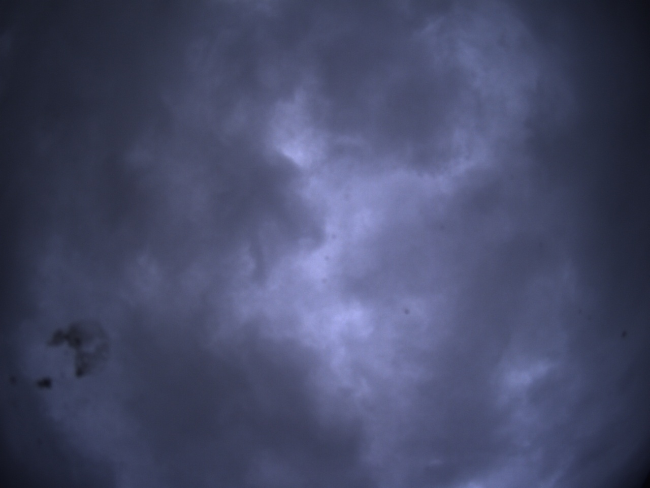 Tirschenreuther Nachbarschaft