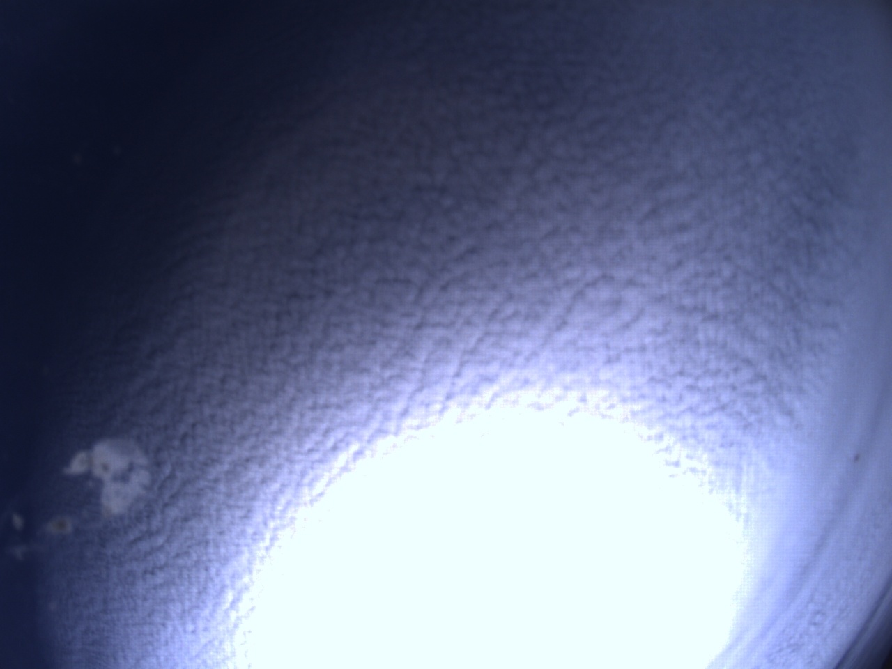 Tirschenreuther Nachbarschaft