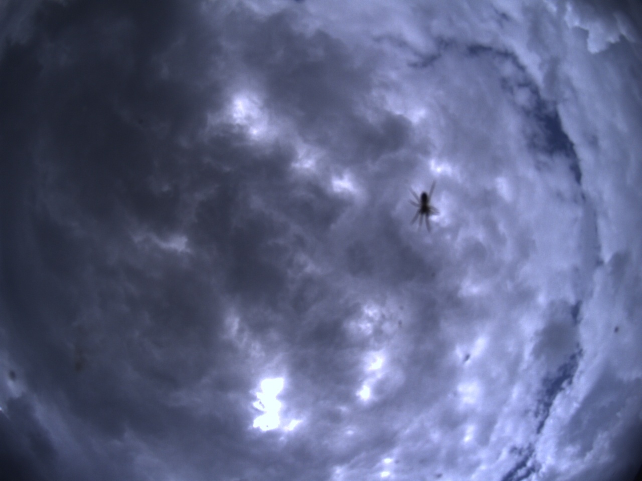 Tirschenreuther Nachbarschaft