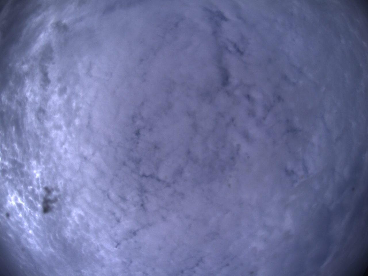 Tirschenreuther Nachbarschaft