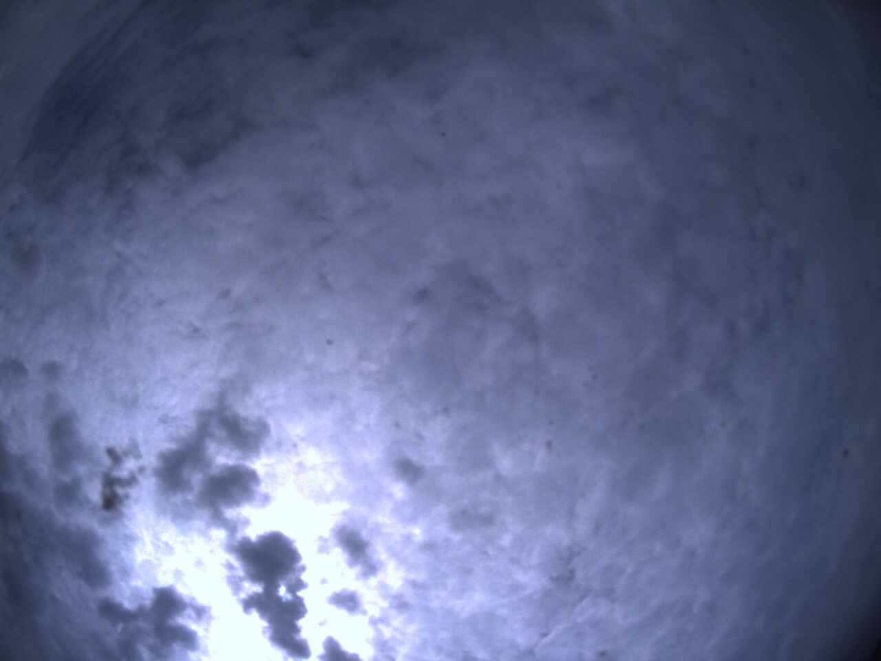 Tirschenreuther Nachbarschaft