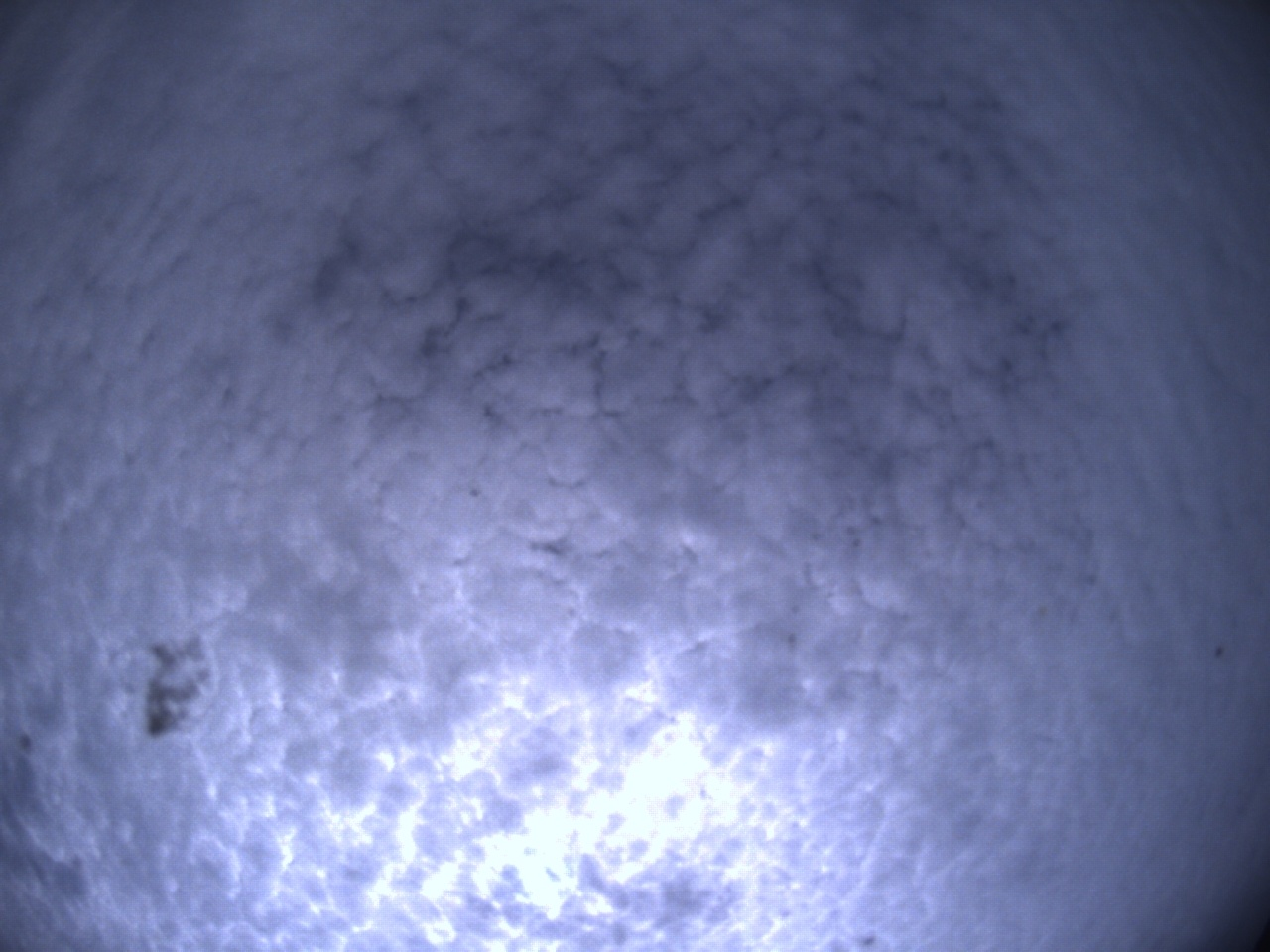 Tirschenreuther Nachbarschaft