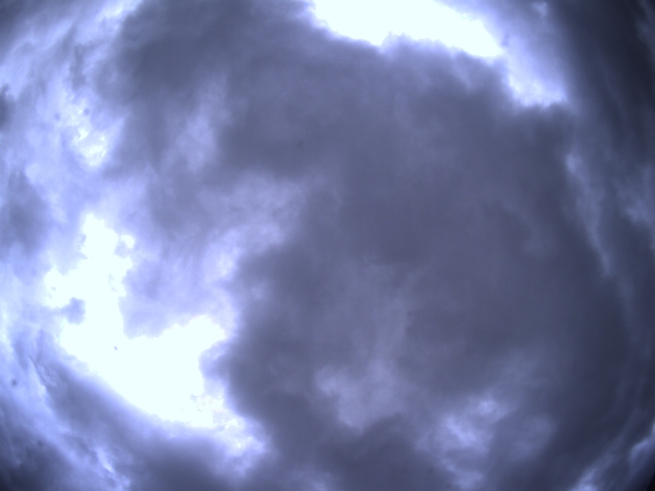 Tirschenreuther Nachbarschaft