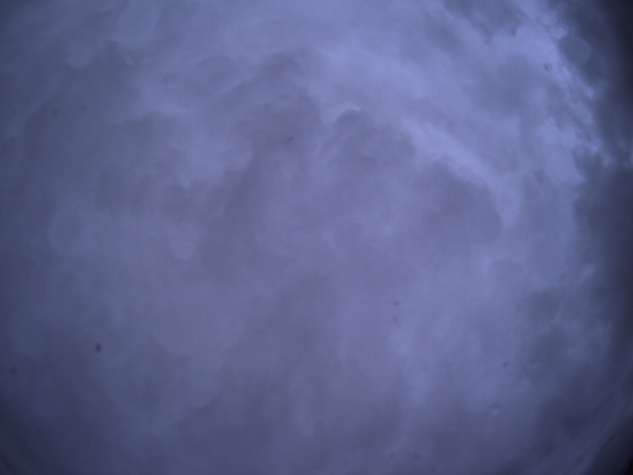 Tirschenreuther Nachbarschaft