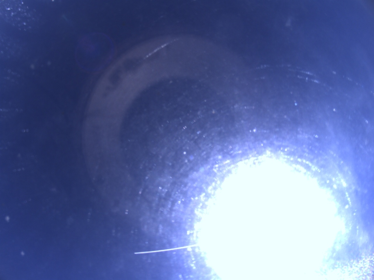 Tirschenreuther Nachbarschaft