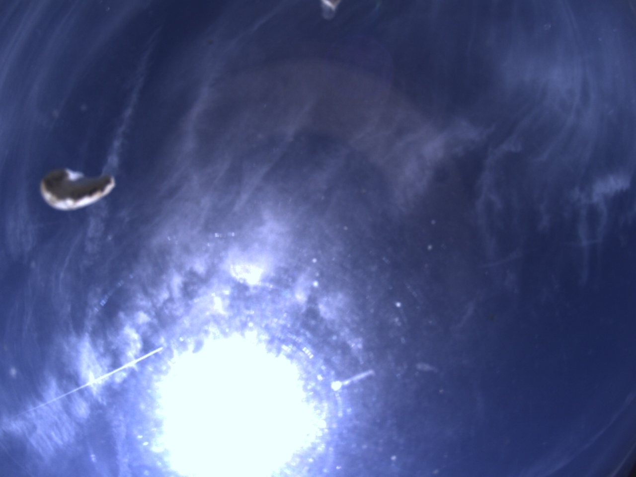 Tirschenreuther Nachbarschaft