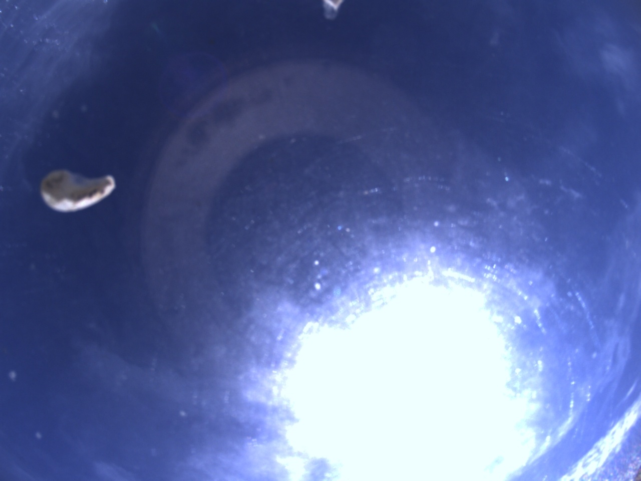 Tirschenreuther Nachbarschaft