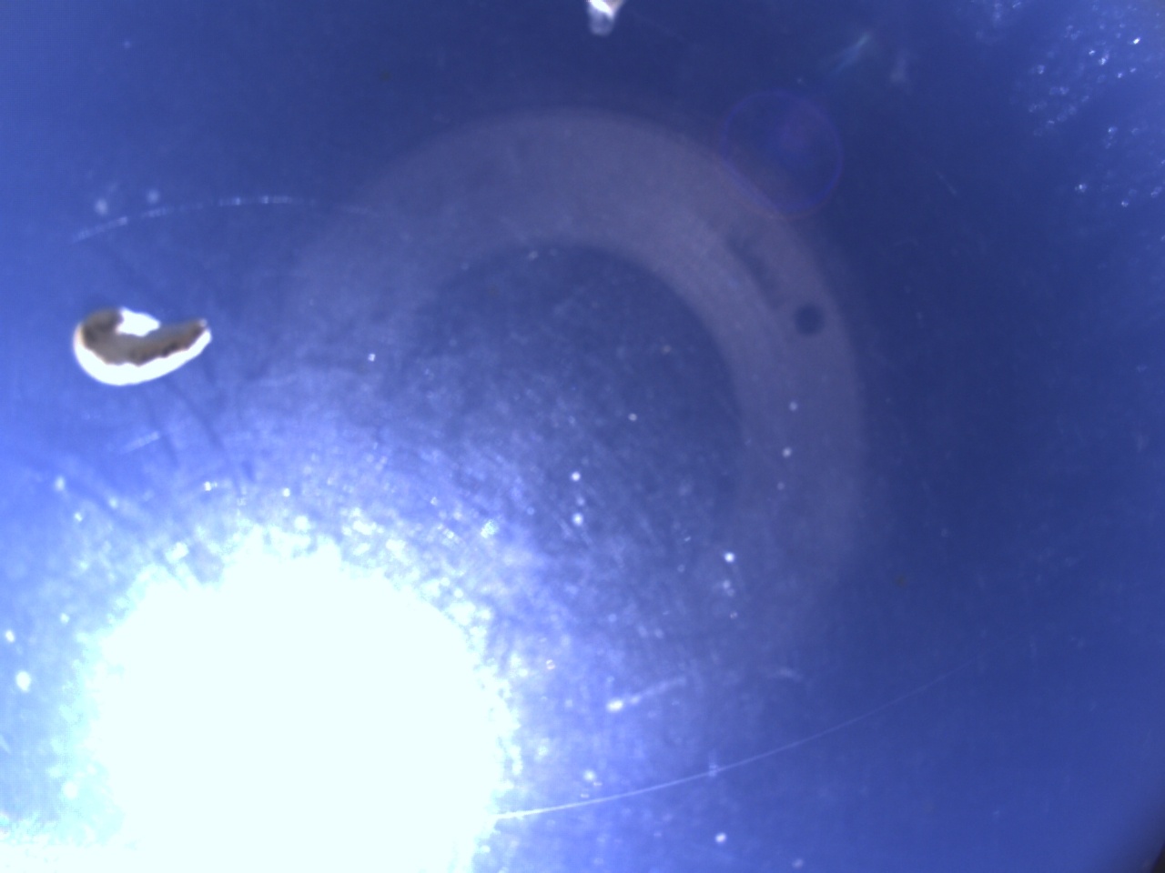 Tirschenreuther Nachbarschaft