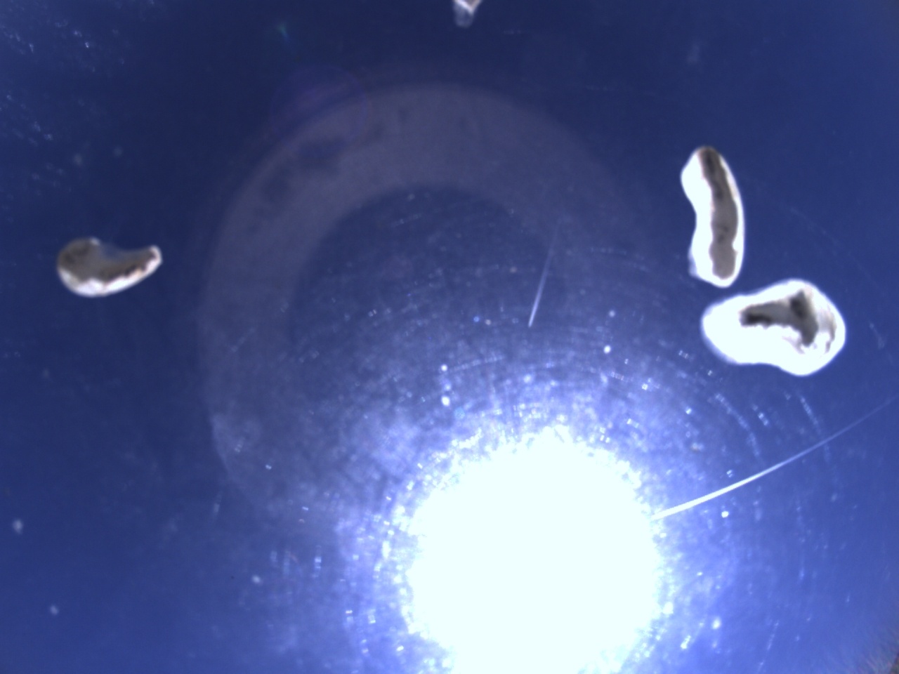 Tirschenreuther Nachbarschaft