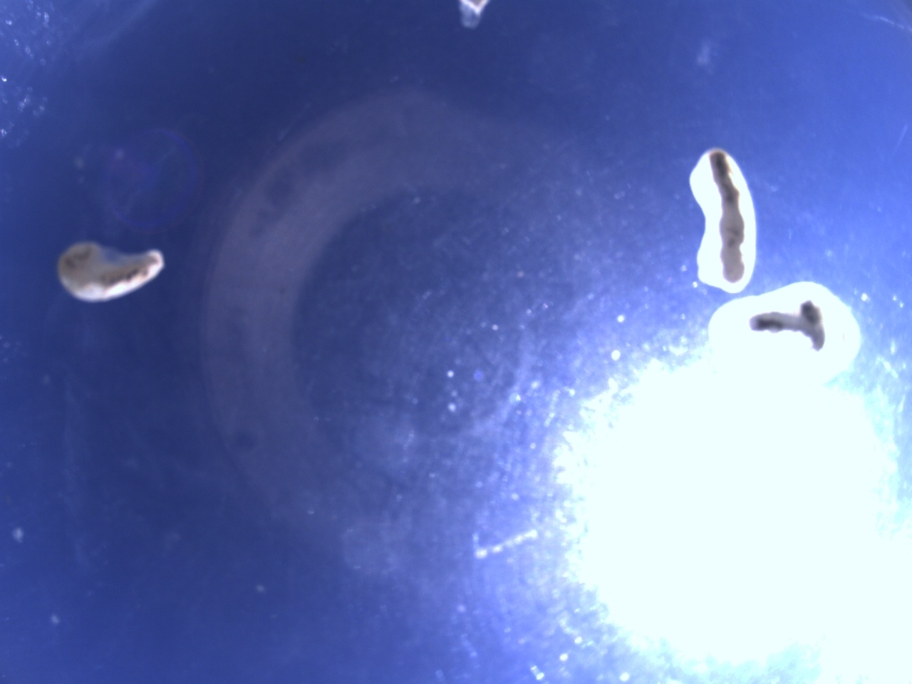 Tirschenreuther Nachbarschaft