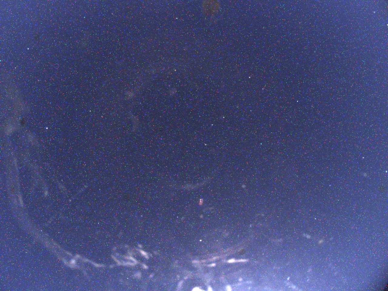 Livebild