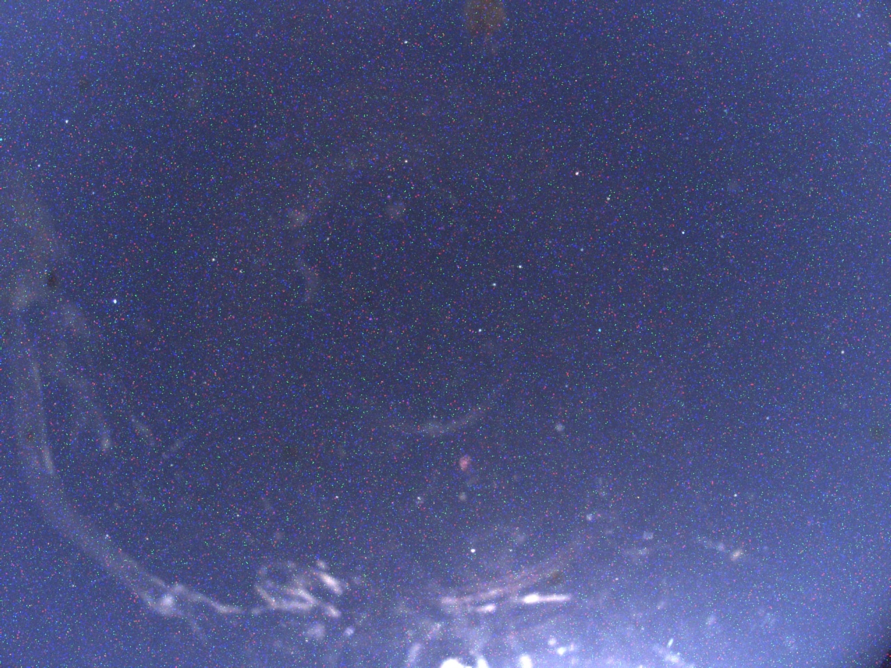 Livebild