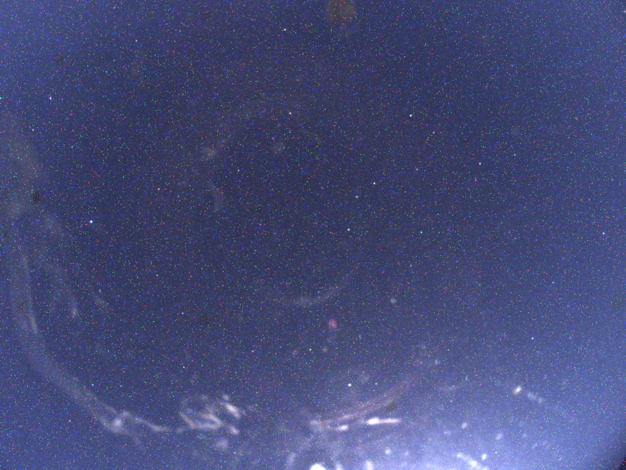 Live image