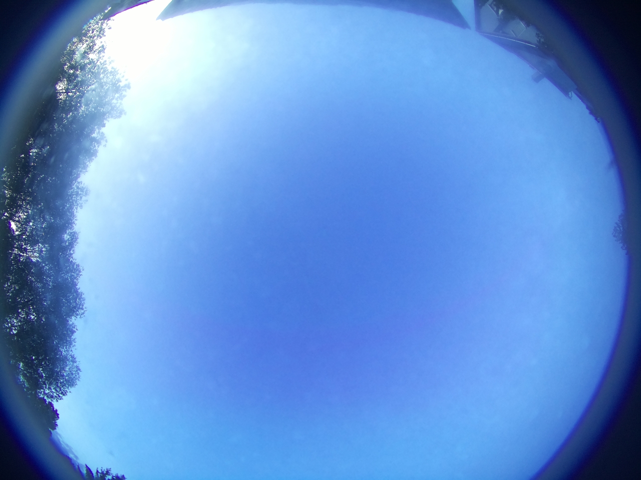 Latest image