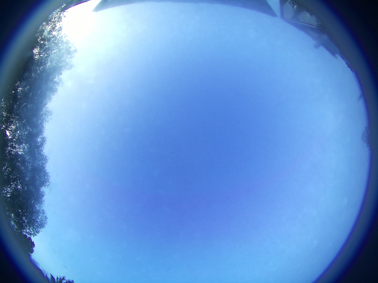 Latest image