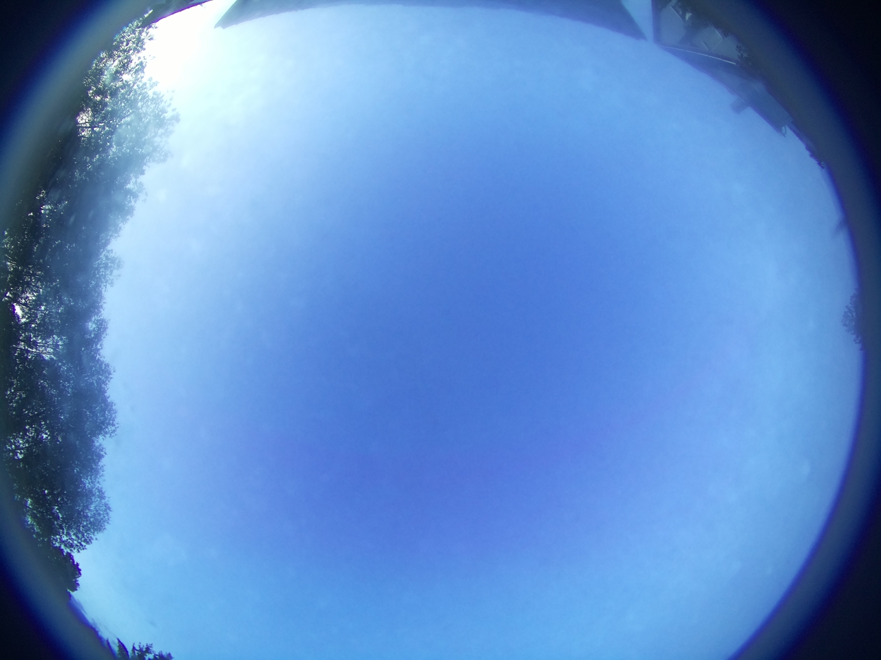 Latest image