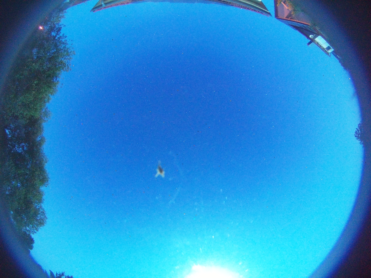Live image