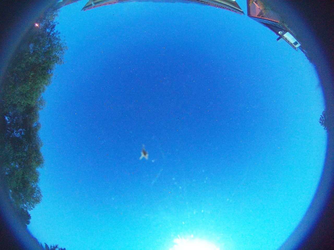 Live image