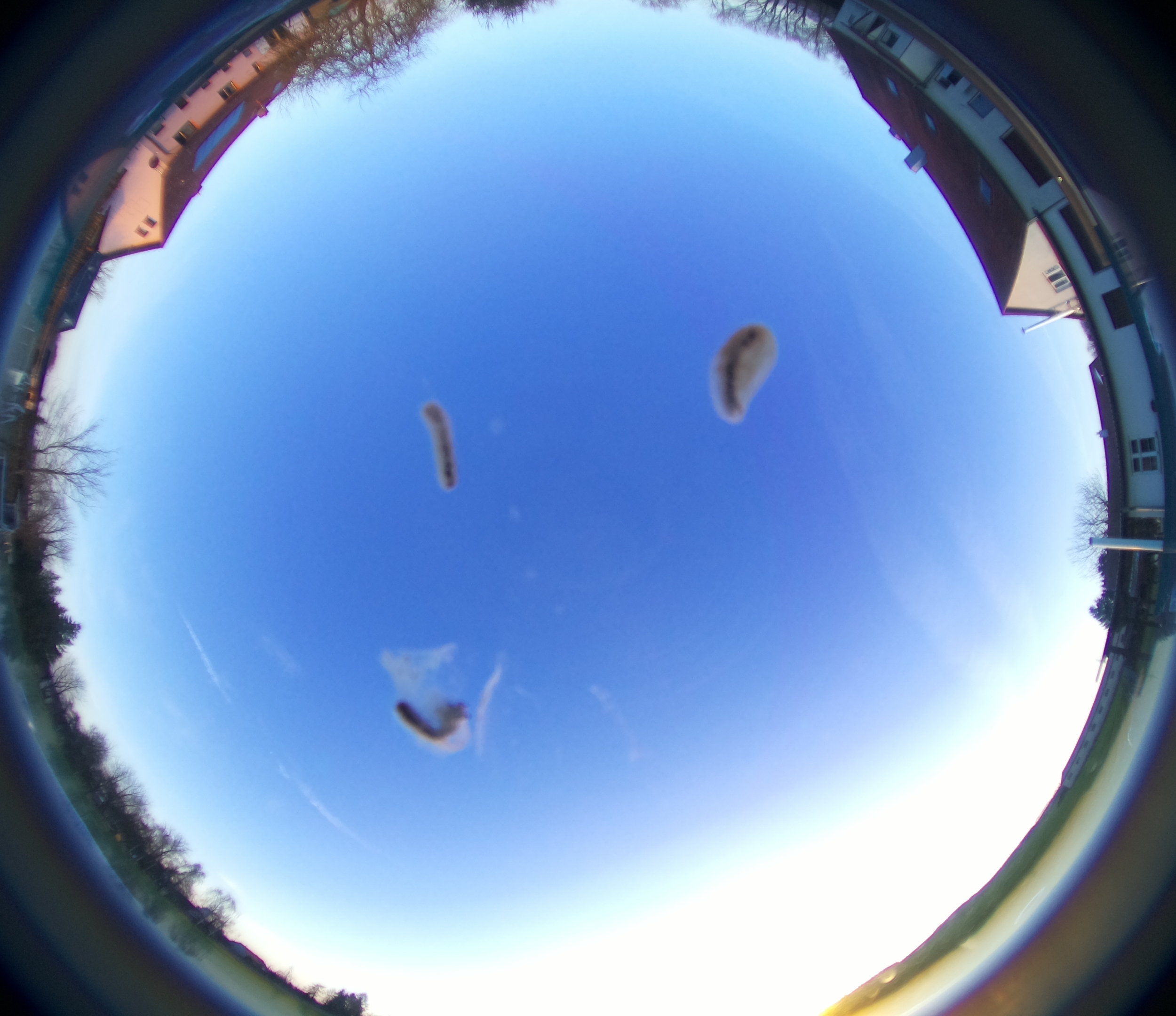 Sonneborn, Thüringen